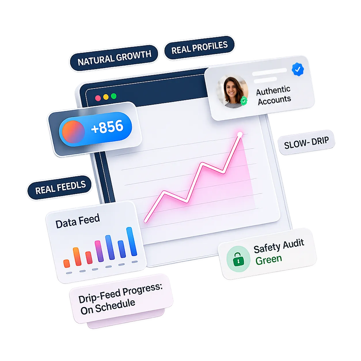 Social growth dashboard