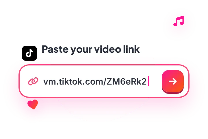The TikTok logo and a box labelled Paste your video link with a vm.tiktok.com link typed in